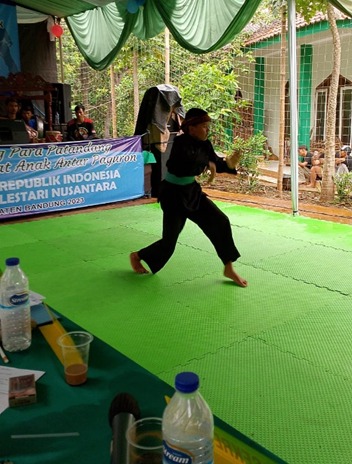 Lomba Silat